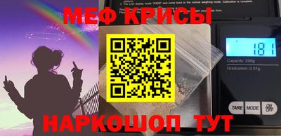 стаф Гай