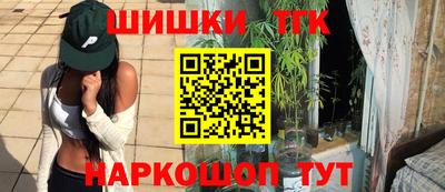 стаф Гай