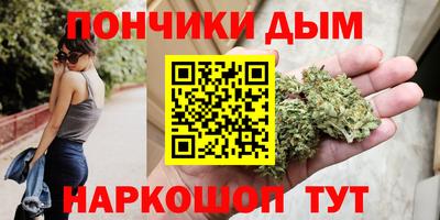 стаф Гай