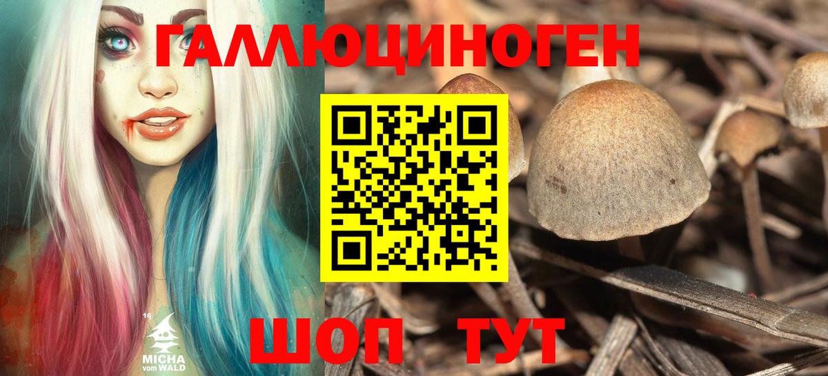 Галлюциногенные грибы Psilocybe  Псилоцибиновые грибы прущие грибы  Заинск  Вход с VPN 